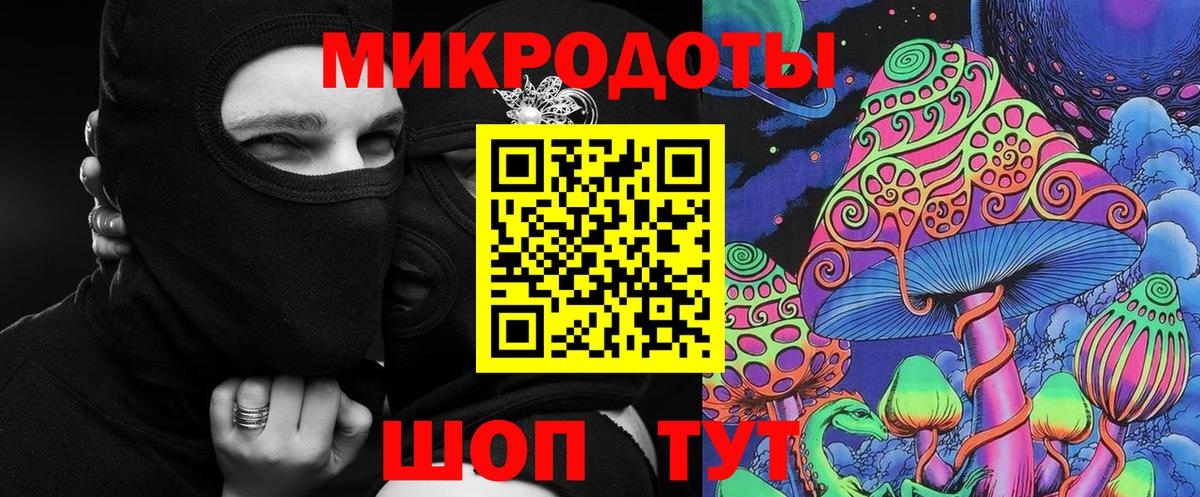 Псилоцибиновые грибы Psilocybine cubensis Новоуральск