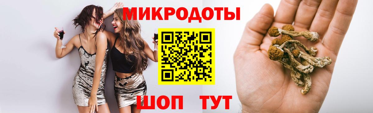 Галлюциногенные грибы Psilocybe  дарнет шоп  Новоуральск  Вход с VPN 